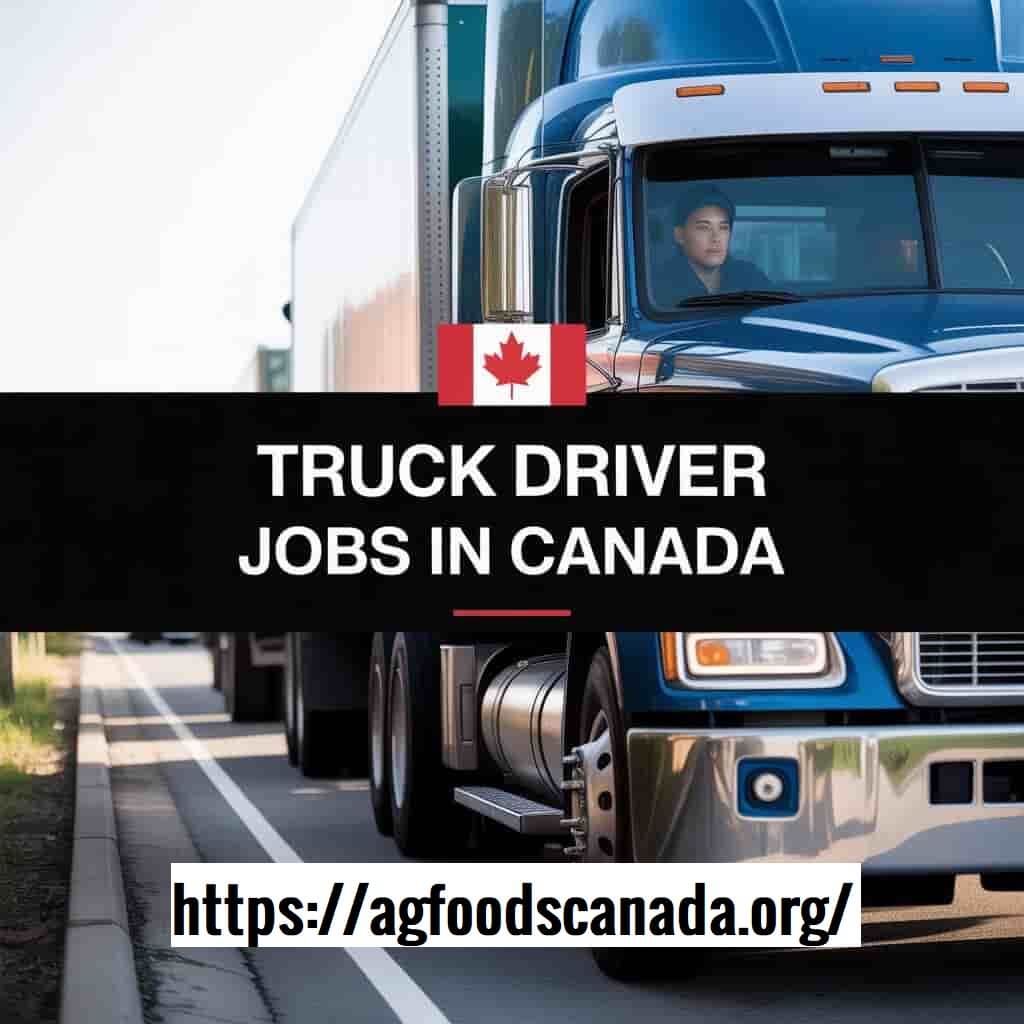 HOW TO APPLY FOR A WORK VISA in CANADA 2025